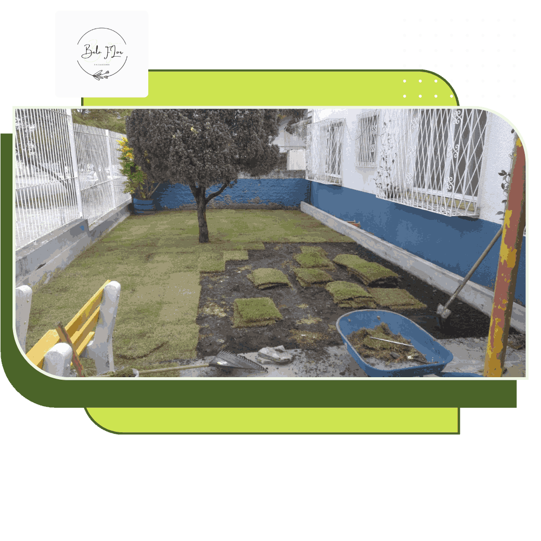 jardinagem em porto alegre